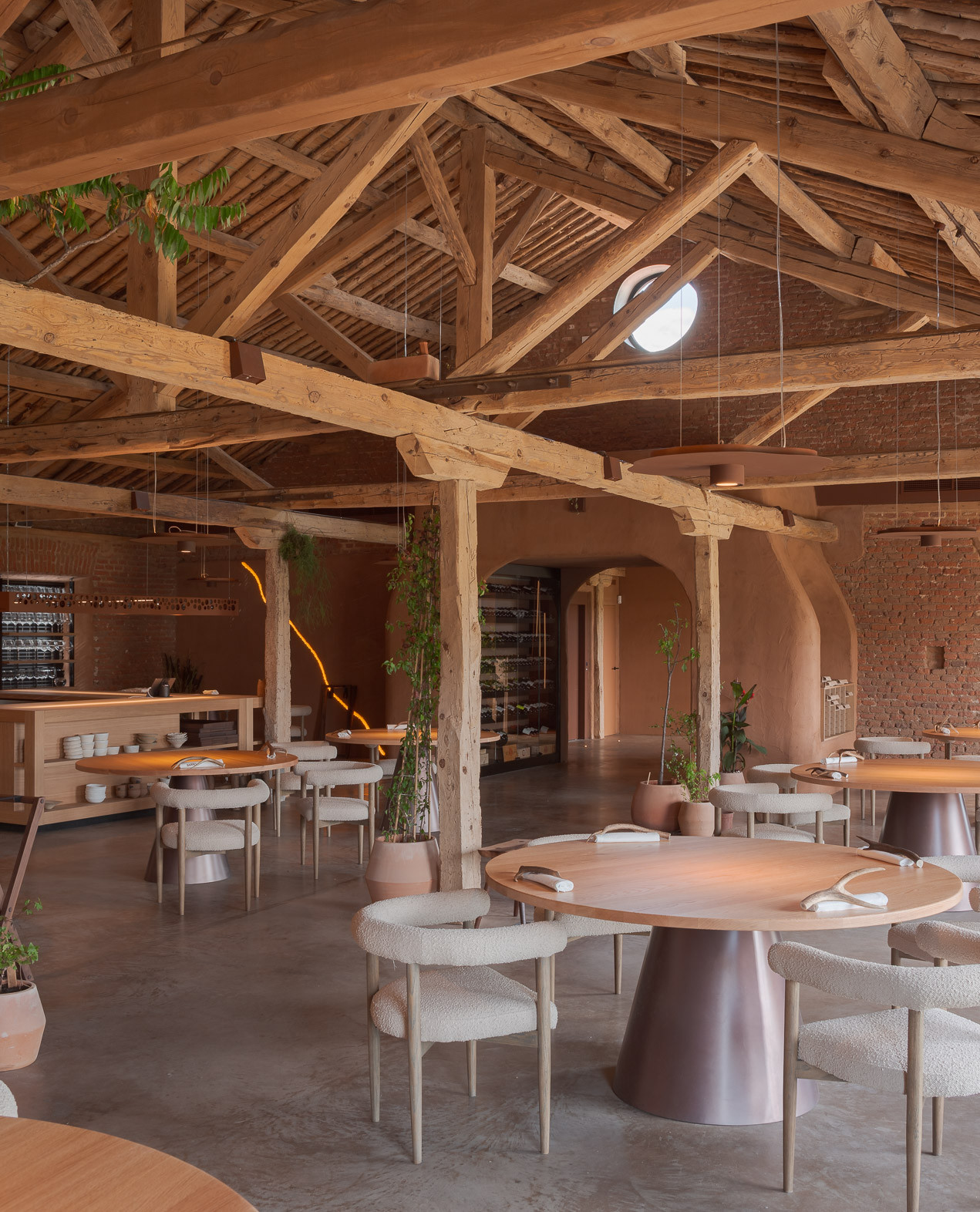 Proyecto Barro - foto 17